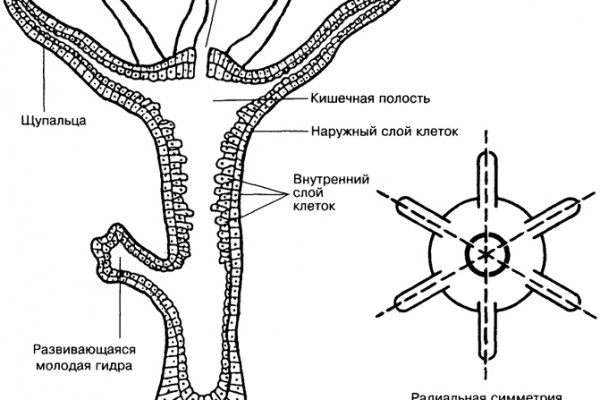 Кракен сайт как зайти