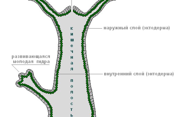 Кракен телегрф