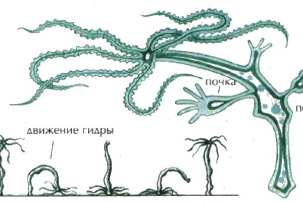 Что такое кракен 2024 маркетплейс