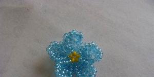 Forget-me-not beads: master class for beginners