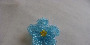 Forget-me-not from beads according to patterns: master class with photos and videos